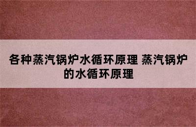 各种蒸汽锅炉水循环原理 蒸汽锅炉的水循环原理